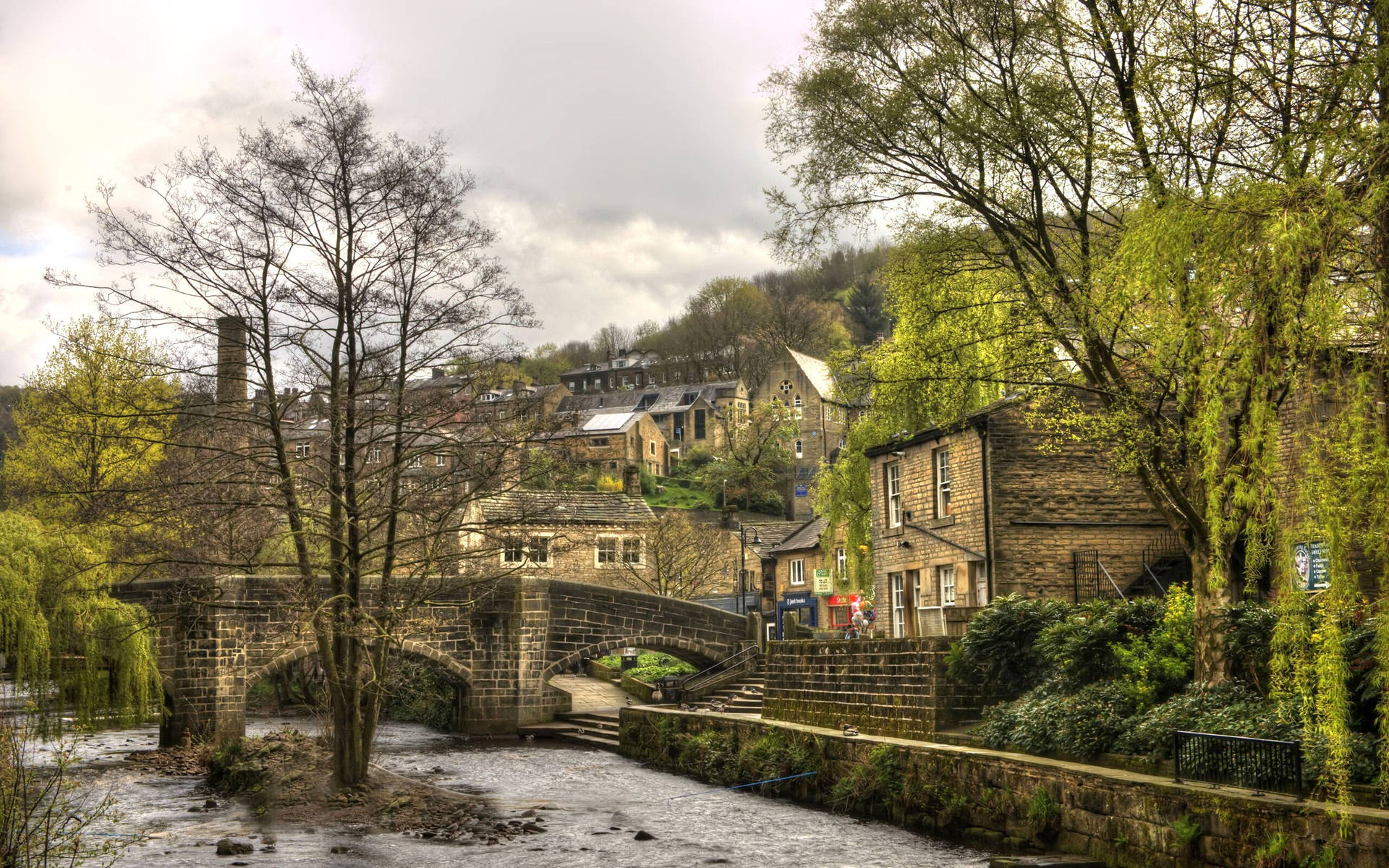 Guided walk through Hardcastle Crags woodland near Hebden Bridge